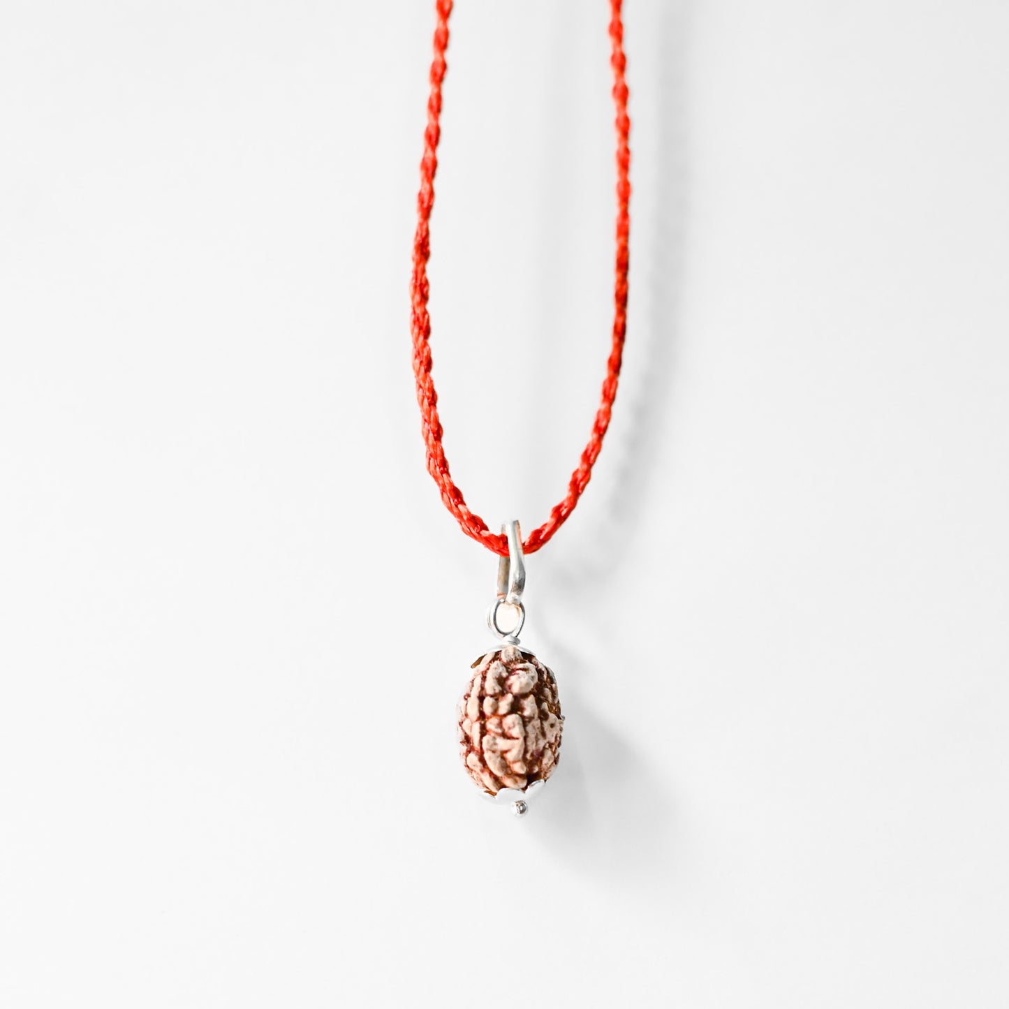 3 Mukhi Original Rudraksha