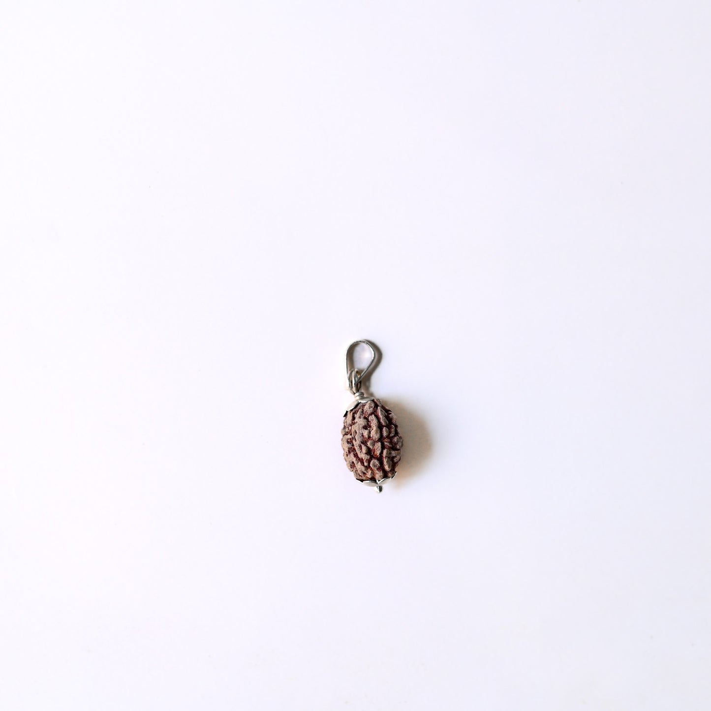 3 Mukhi Original Rudraksha
