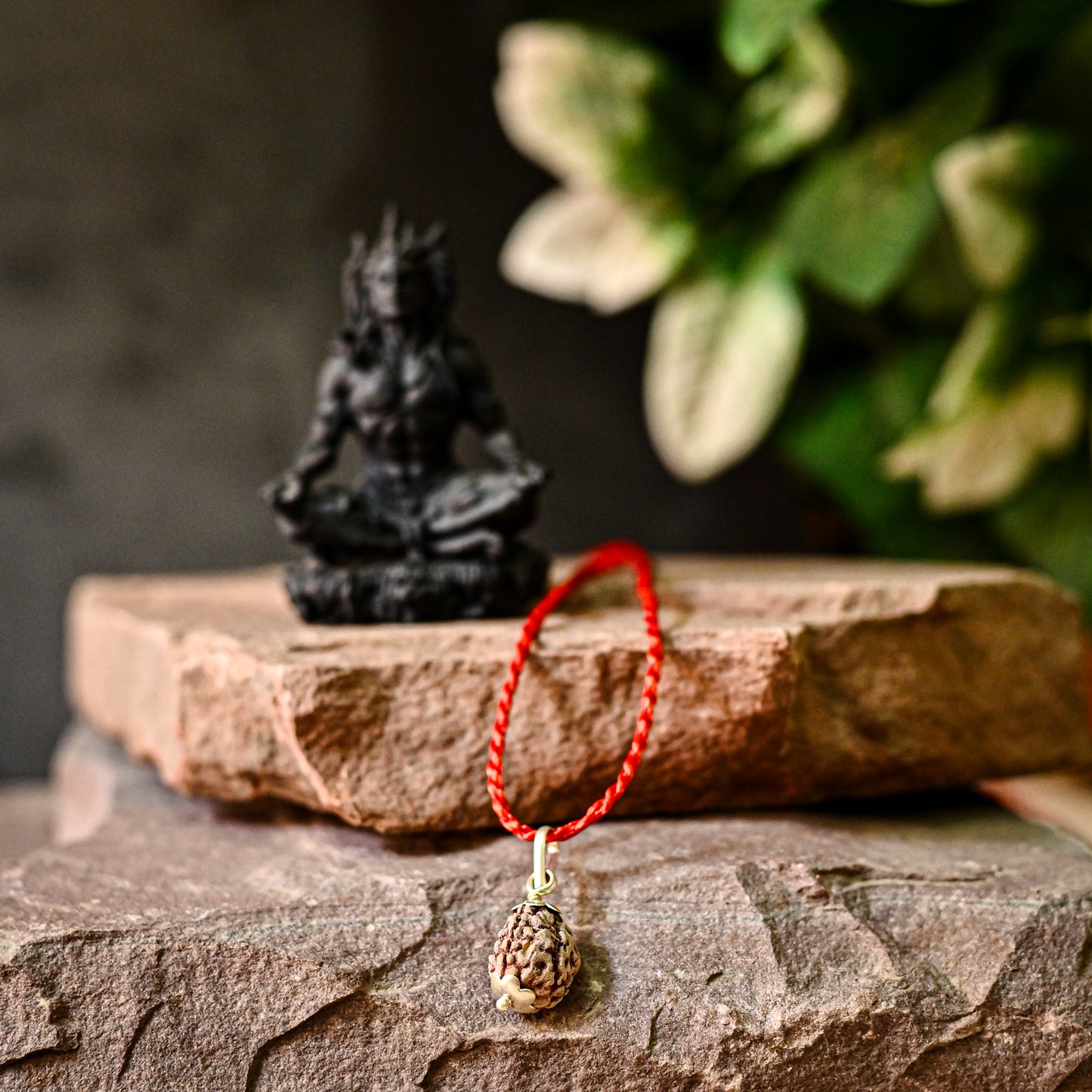 3 Mukhi Original Rudraksha