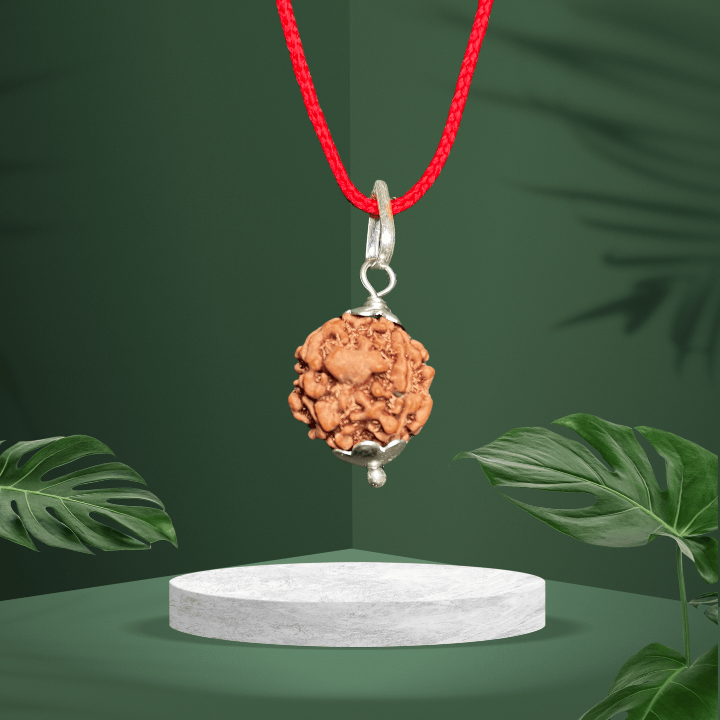 3 Mukhi Original Rudraksha