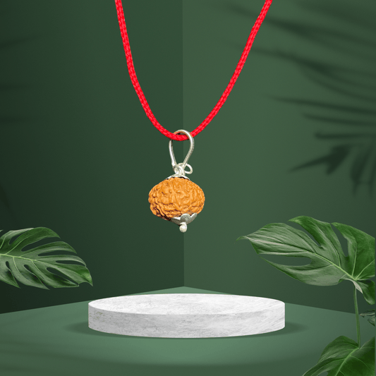 10 MukhiOriginal Rudraksha Locket