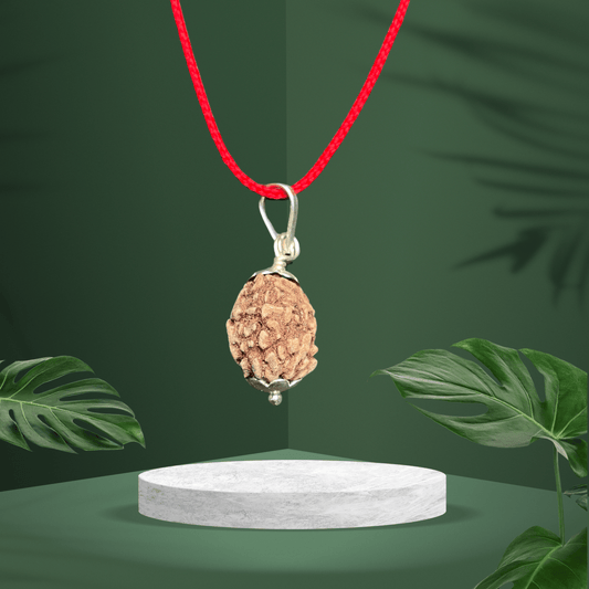 5 Mukhi Original Rudraksha Pendent Locket