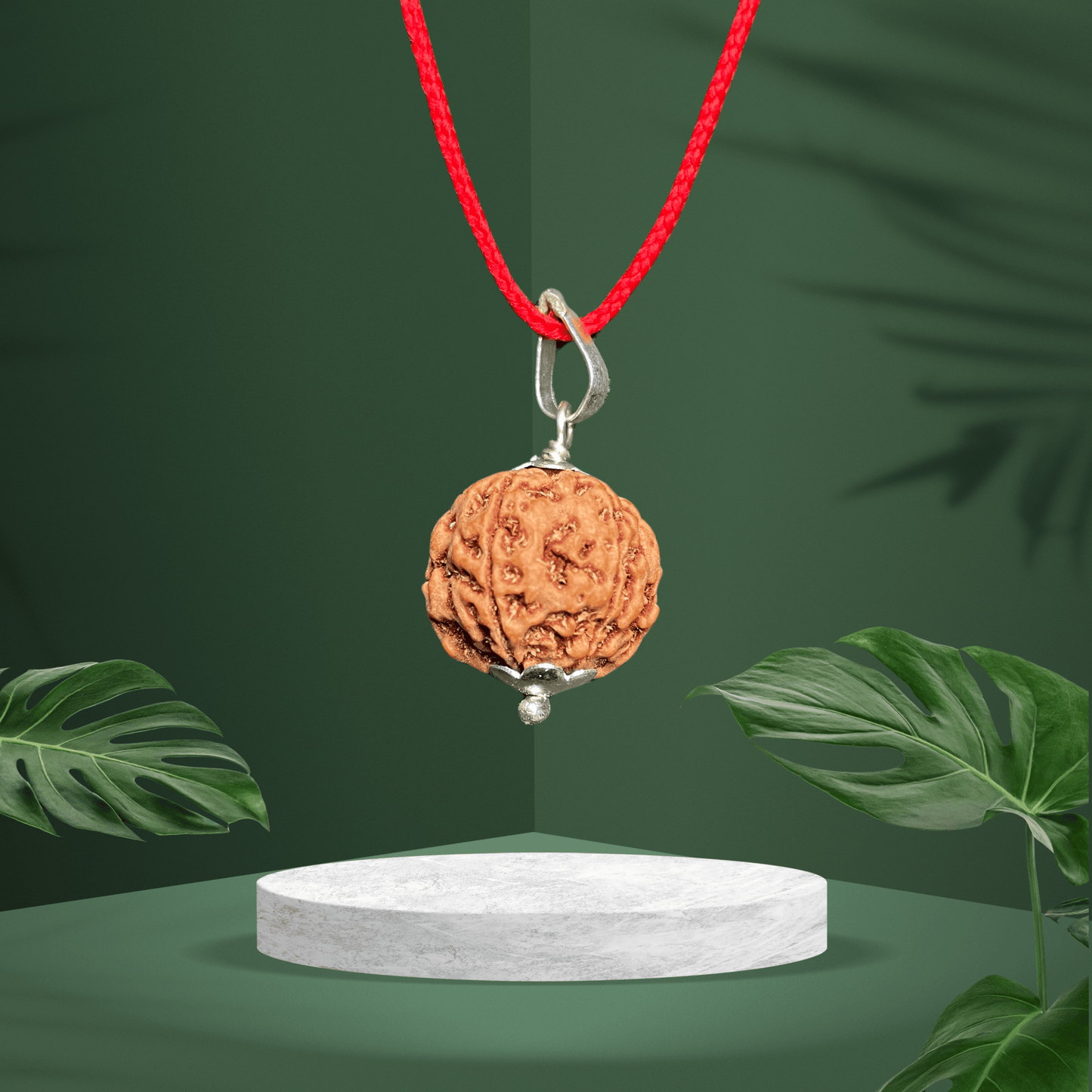 6 Mukhi Original Rudraksha Locket