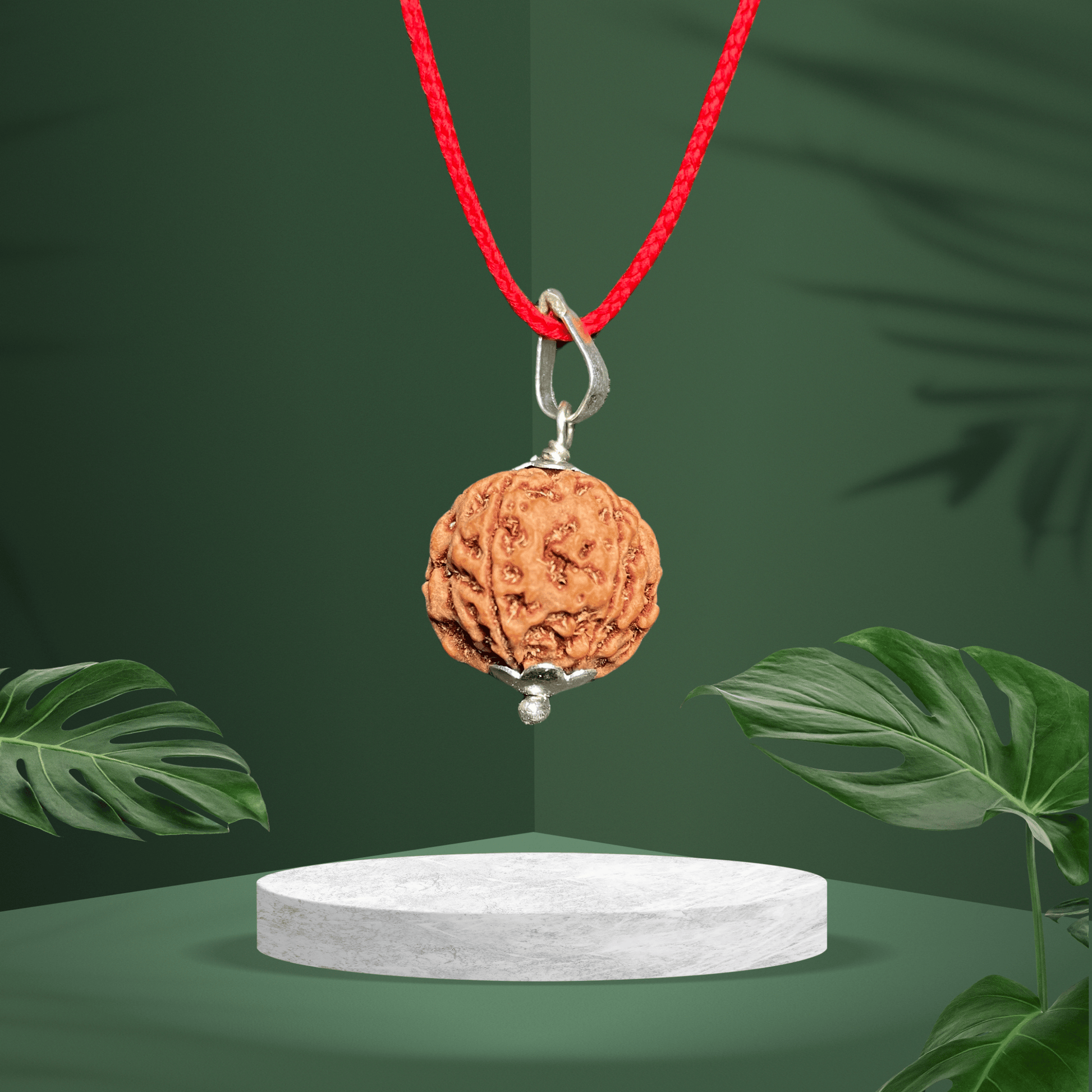 6 Mukhi Original Rudraksha Locket