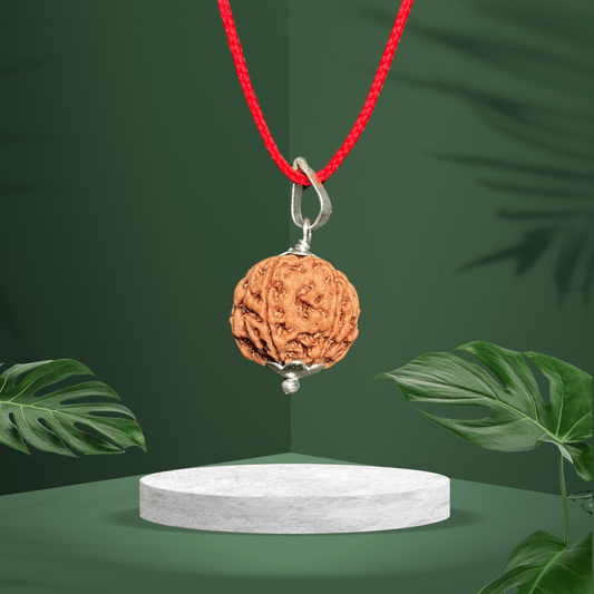 6 Mukhi Original Rudraksha Locket