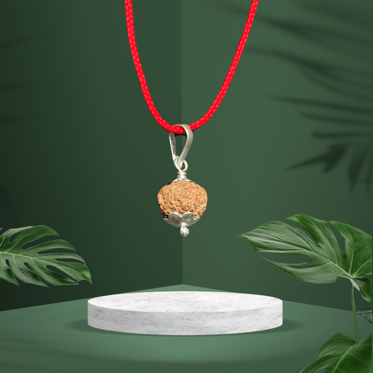 7 Mukhi Original Rudraksh Locket