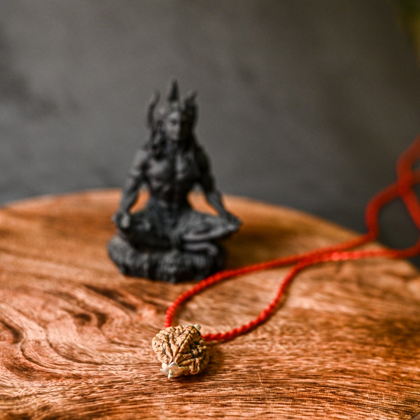 2 Mukhi Original Rudraksha