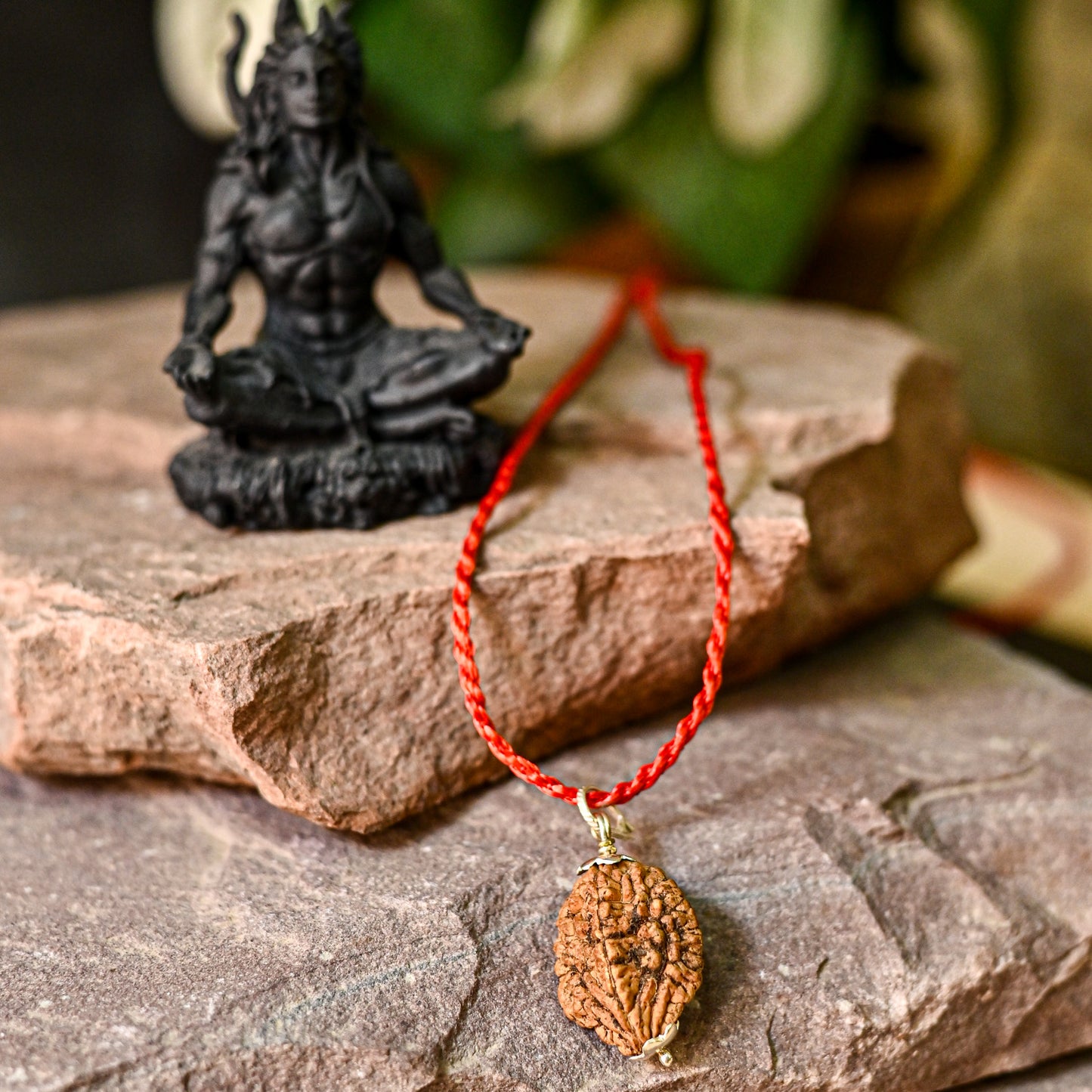 2 Mukhi Original Rudraksha