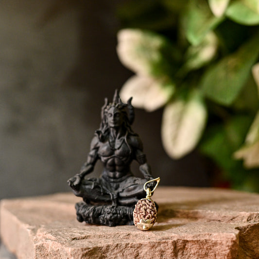 3 Mukhi Original Rudraksha