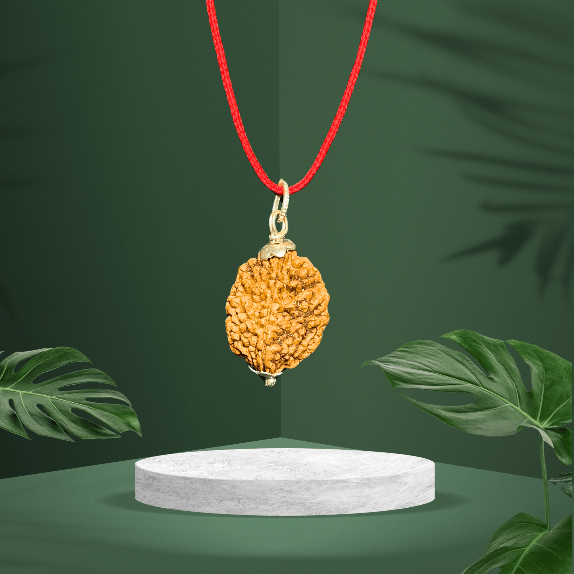 2 mukhi  Original Rudraksha Locket